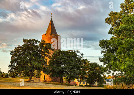 Roter Turm der Gans Vordingborg Castle Stockfoto