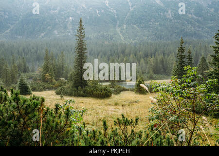 Nationalpark Tatra, Polen. Kleine Berge See Zabie Oko oder Ma e Morskie Oko in Morgen Sommer. Fünf Seen Tal. Landschaftlich schöne Aussicht. Europäische Stockfoto