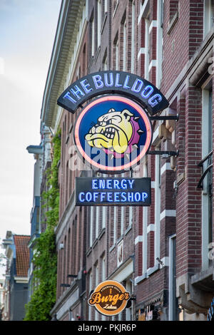 Amsterdam, Niederlande - Juli 7, 2018: Der berühmte coffeshop Bulldogge in Amsterdam, Niederlande Stockfoto