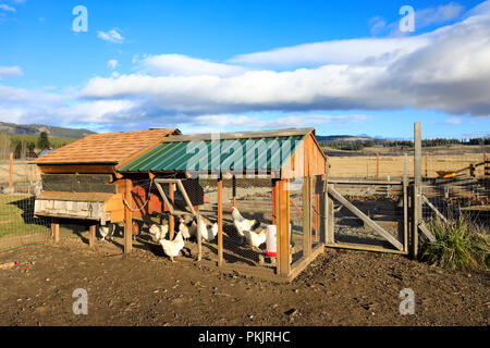 Schöne Ranch Haus im Tal. Northwest, USA Stockfoto