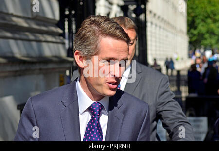 Gavin Williamson MP (Con: South Staffordshire) Staatssekretär für Verteidigung, Downing Street nach einer 3-stündigen Kabinettssitzung Brexit zu diskutieren Stockfoto