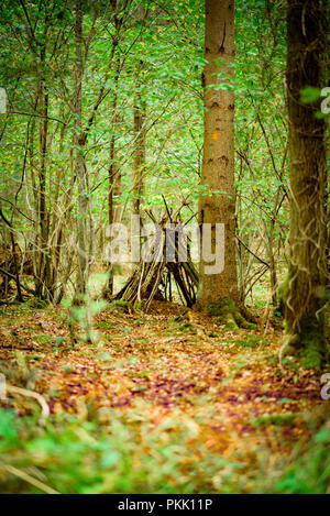 Hand Zuflucht, Natürliche Wälder Stockfoto