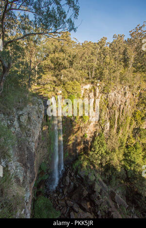 Queen Mary fällt, mit Wasser stürzt über hohen Felsen am Rande des dichten Wald in der Nähe von Warwick, Queensland, Australien Stockfoto