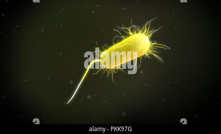 3D-Darstellung eines Pseudomonas Aeruginosa Bakterien Stockfoto