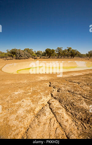 Australische Landschaft mit Farm Dam mit schlammigen Wasser & erodiert Bank durch die kargen rote Erde & Gummi Bäume in den blauen Himmel steigen während der Dürre in NSW umgeben Stockfoto