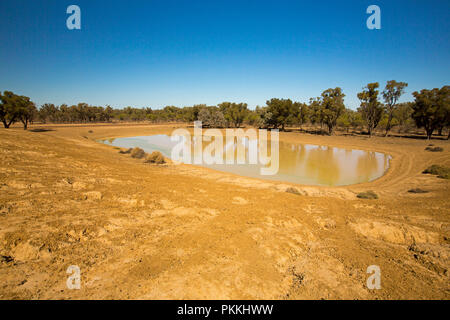 Australische Landschaft mit Farm Dam mit schlammigen Wasser & erodiert Bank durch die kargen rote Erde & Gummi Bäume in den blauen Himmel steigen während der Dürre in NSW umgeben Stockfoto