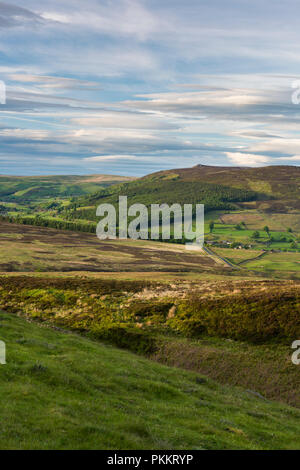 Landschaftlich reizvolle Landschaft (sanfte Hügel des Wharfedale Valley, Simon's Seat Peak, Sonnenlicht & Schatten an Land, blauer Himmel) - Yorkshire Dales, England, Großbritannien Stockfoto