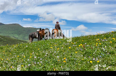 Kirgisische Reiter Pausen in der Wildblumen, Trek, Jyrgalan Keskenkyia Schleife, Kirgisistan Stockfoto