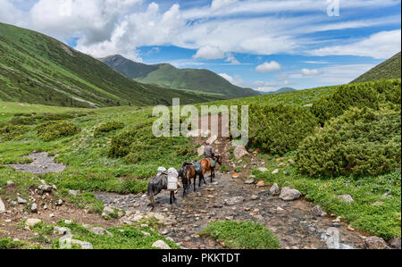 Kirgisische Reiter kreuze Stream in der Wiese, Keskenkyia Loop trek, Jyrgalan, Kirgisistan Stockfoto