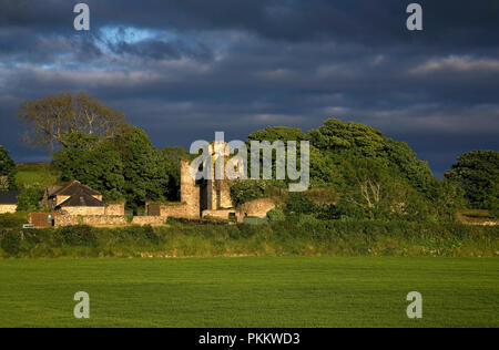 Jahrhundert in der Grafschaft Wexford Dunbrody Schloss liegt auf der anderen Seite der Landstraße von Dunbrody Abbey, Haken Halbinsel, County Wexford, Irland Stockfoto