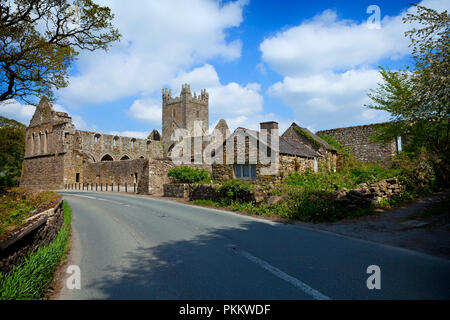 Jerpoint Abbey, eine zerstörte Zisterzienserabtei, im 12. Jahrhundert gegründet wurde, in der Nähe von Thomastown, County Kilkenny, Irland. Stockfoto