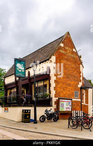 Swan & drei Cygnets bar Elvet Brücke, Durham, Großbritannien Stockfoto