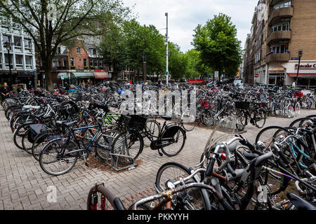 Bike Nutzung in Amsterdam hat um mehr als 40% in den letzten 20 Jahren gewachsen. Stockfoto