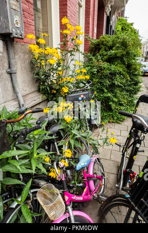 Bike Nutzung in Amsterdam hat um mehr als 40% in den letzten 20 Jahren gewachsen. Stockfoto