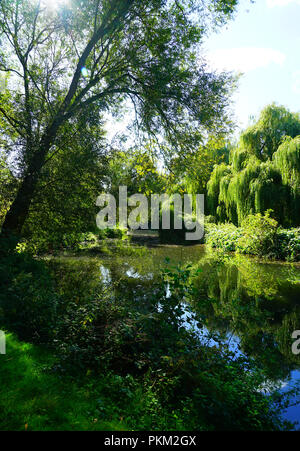 Der Fluss Stort in der Nähe von Bishops Stortford (Hochformat) Stockfoto