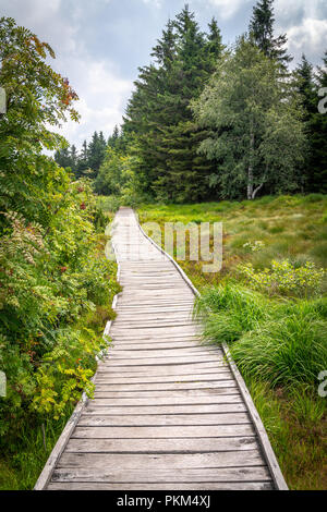 Holzsteg durch das Hochmoor auf Berge Hornisgrinde in Baden-Wuerttemberg Stockfoto