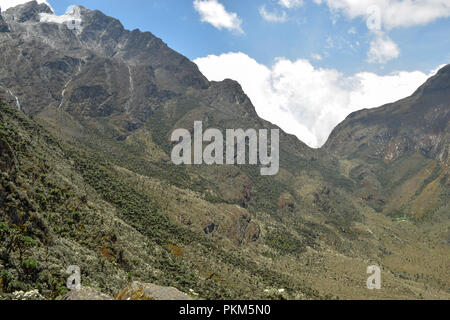 Mount Speke im Rwenzori Mountains, Uganda Stockfoto