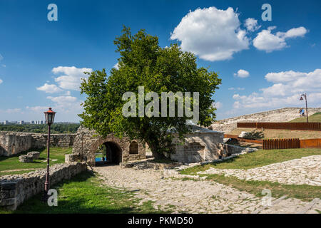 Die Festung Kalemegdan in Belgrad Stockfoto