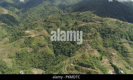 Luftaufnahme von Reis Terrassen an den Hängen der Berge, Banaue, Philippinen. Anbau von Reis in den Norden Batad. Berge bedeckt Wald, Bäume. Die philippinischen Kordilleren. Stockfoto