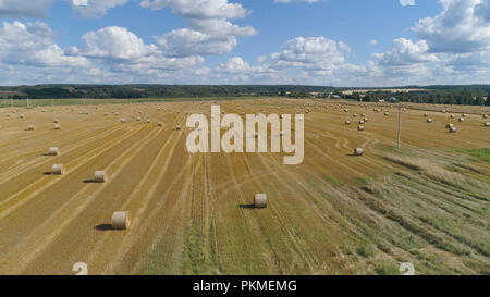 Heuballen Stroh links nach der Ernte von Weizen Luftaufnahme Rundballen Stroh in die Wiese. Hay. Landwirtschaft Feld mit Sky. Ländliche Natur in der Farm Land. Stroh auf der Wiese. Weizen gelb Goldenen Ernte im Sommer. Landschaft Landschaft. Getreide Getreide, Ernte. Stockfoto