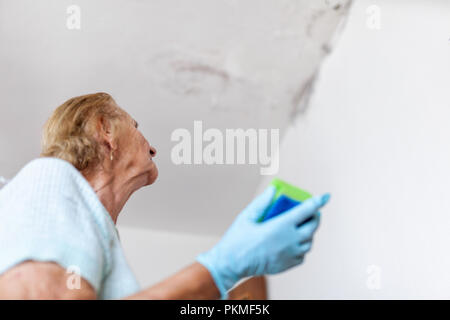 Reinigung der gefährlichen Pilz von einer feuchten Wand nach Wasser zu Hause Stockfoto