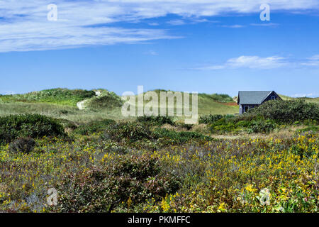 Dune shack, Aquinnah, Martha's Vineyard, Massachusetts, USA. Stockfoto