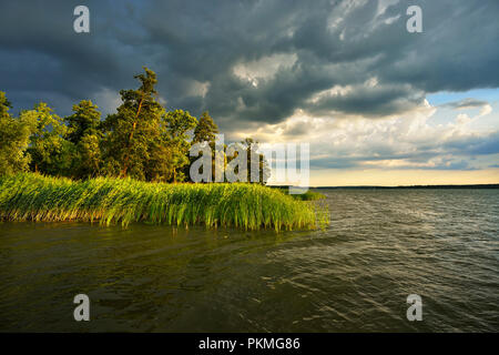 Gewitterwolken über den Scharmützelsee, dunkle Wolken, dramatischen Licht, Land Brandenburg, Deutschland Stockfoto