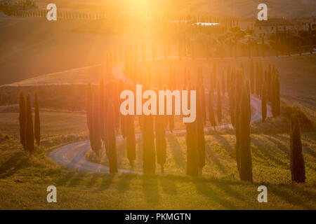 Sonnenuntergang am berühmten Agriturismo Baccoleno, in der Nähe von Asciano in der Toskana Italien EU Stockfoto
