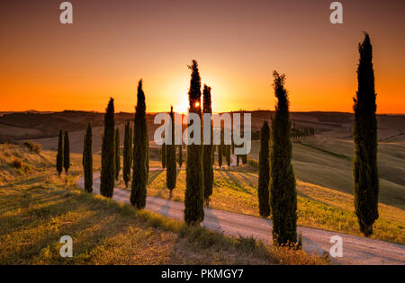 Sonnenuntergang am berühmten Agriturismo Baccoleno, in der Nähe von Asciano in der Toskana Italien EU Stockfoto