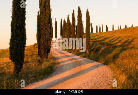 Sonnenuntergang am berühmten Agriturismo Baccoleno, in der Nähe von Asciano in der Toskana Italien EU Stockfoto