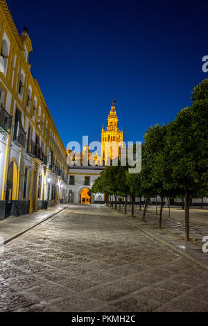 Die Giralda Glockenturm ist Abends beleuchtet in Sevilla, Spanien, Europa Stockfoto