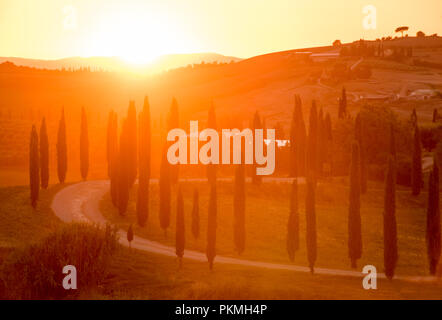 Sonnenuntergang am berühmten Agriturismo Baccoleno, in der Nähe von Asciano in der Toskana Italien EU Stockfoto