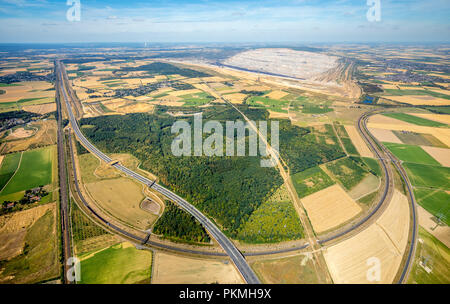 Luftaufnahme, Etzweiler, Braunkohle Tagebau Hambach, Wald, Bürgewald Steinheide, Landschaftsschutzgebiet Stockfoto