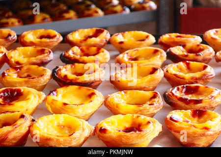 Reihen von Ei tart, traditionelle portugiesische Dessert, Pastel de Nata, Pudding Stockfoto