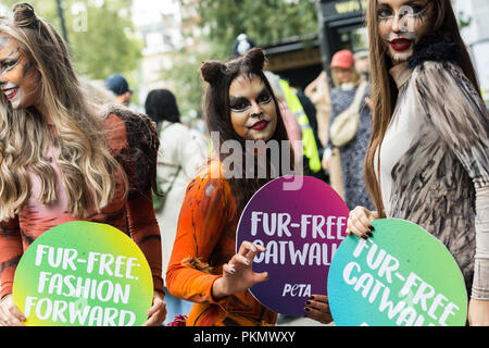 London, Großbritannien. 14. September, 2018. Eine Gruppe von PETA Aktivisten gekleidet, wie Katzen Pelz-frei Laufstegen außerhalb Hauptausstellungsgelände London Fashion Week am Strand feiern, nach der Ankündigung, dass die Veranstaltung in dieser Saison keine Fell präsentieren. PETA fordert die britische Mode Rat ein dauerhaftes Verbot der Verwendung von tierischem Fell an allen Veranstaltungen, einschließlich der London Fashion Week zu implementieren. Credit: Wiktor Szymanowicz/Alamy leben Nachrichten Stockfoto