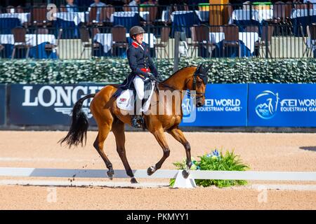 Tryon, USA. 14. September 2018. Tom McEwan, Toledo de Kerser. GBR. Eventing Dressur. Tag 4. World Equestrian Games. WEG 2018 Tryon. North Carolina. USA. 14.09.2018. Credit: Sport in Bildern/Alamy leben Nachrichten Stockfoto