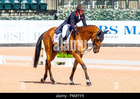 Tryon, USA. 14. September 2018. Tom McEwan, Toledo de Kerser. GBR. Eventing Dressur. Tag 4. World Equestrian Games. WEG 2018 Tryon. North Carolina. USA. 14.09.2018. Credit: Sport in Bildern/Alamy leben Nachrichten Stockfoto