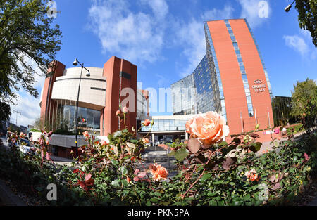 Rose Betten von Harrogate Conference Center yorkshire United Kingdom Stockfoto