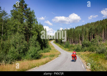 Reisen Radfahrer reitet ein Radweg entlang der malerischen Waldweg im südlichen Norwegen Stockfoto