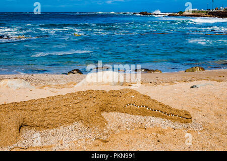 Ein Krokodil aus Sand mit scharfen Zähnen auf einer South Atlantic Ocean Beach, Südafrika Stockfoto