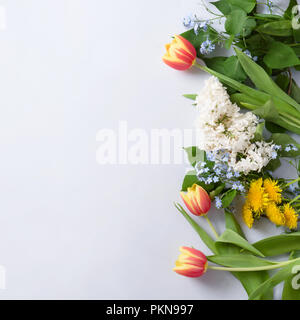 Zusammensetzung mit Tulpen, Löwenzahn, Vergißmeinnicht Blumen und lila Blumen auf weißem Hintergrund, mit Kopie Raum, Ansicht von oben Stockfoto