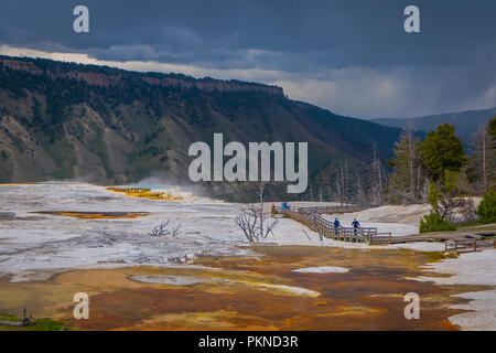 Seitwärts des Kanarischen Frühling und Terrassen in den Mammoth Hot Spring Bereich der Yellowstone National Park Stockfoto