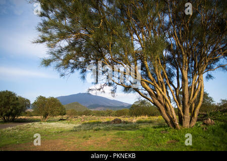 Vulkan Ätna im Nationalpark Parco dell'Etna in Sizilien Stockfoto