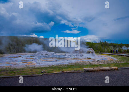 Nahaufnahme von Giant Geysir, die zweithöchste Geysir der Welt. Upper Geyser Basin, Yellowstone National Park Stockfoto