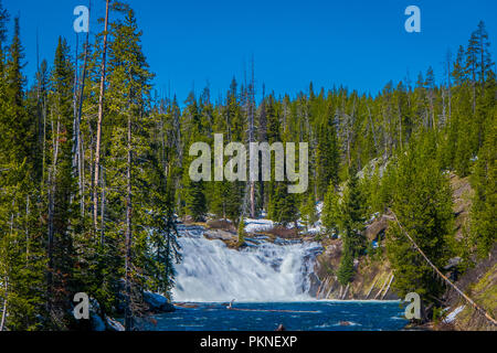 Im freien Ausblick auf den kleinen Wasserfall im Fluß im Yellowstone National Park, umgeben von Pinien und Vegetation im Wald Stockfoto