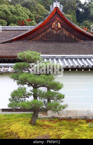 Kyoto, Japan - Zwerg Kiefer auf Nanzen-ji Temple. Stockfoto