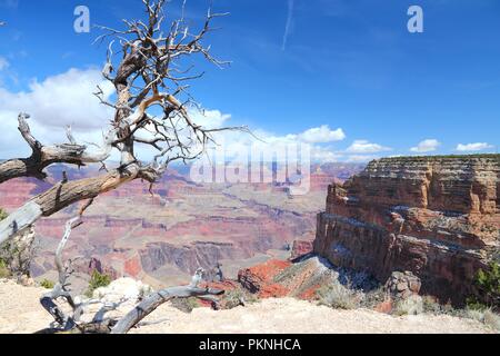 Grand Canyon Nationalpark in Arizona, Usa. Colorado Fluss sichtbar. Mohave Point anzeigen. Stockfoto