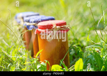 Gläser mit verschiedenen Arten von Jam, grünen Hintergrund Stockfoto