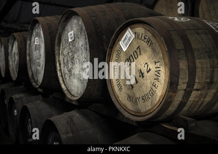 Barrique Whisky in Lager, Islay, Schottland, Großbritannien Stockfoto