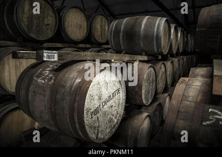 Barrique Whisky in Lager, Islay, Schottland, Großbritannien Stockfoto